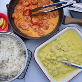 HARDCOVER camping edition cookbook